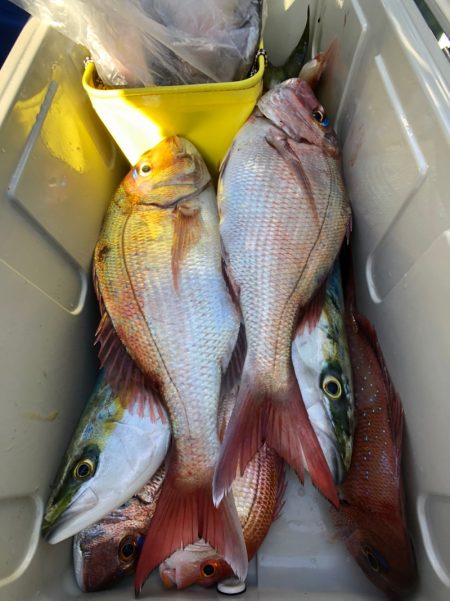 第二八坂丸 釣果