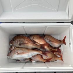 遊漁船高橋 釣果