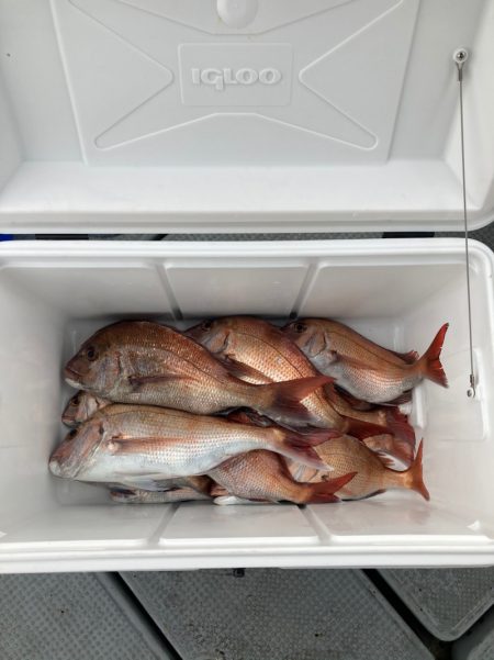 遊漁船高橋 釣果