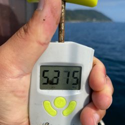 龍神丸(鹿児島) 釣果