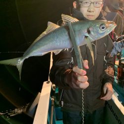 愛海丸 釣果