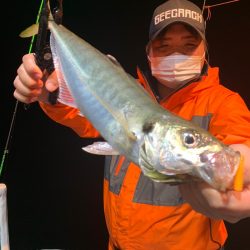 愛海丸 釣果