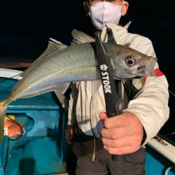 愛海丸 釣果