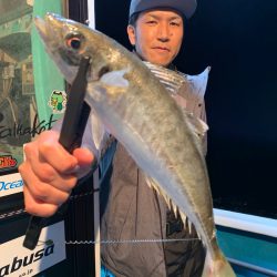 愛海丸 釣果