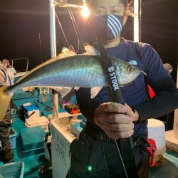 愛海丸 釣果