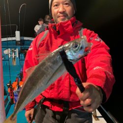 愛海丸 釣果