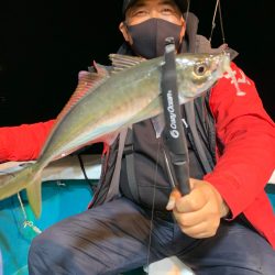 愛海丸 釣果