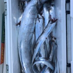 フィッシング　キッタカ 釣果