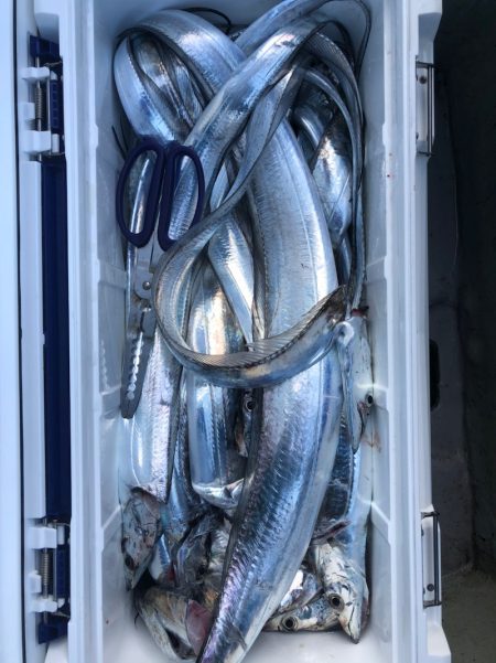 フィッシング　キッタカ 釣果