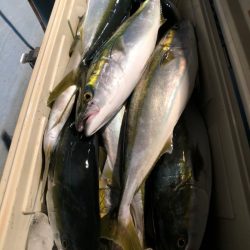 第二八坂丸 釣果