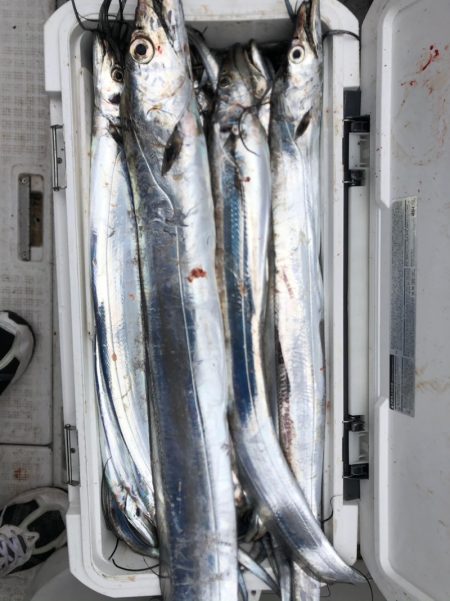 フィッシング　キッタカ 釣果