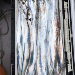 フィッシング　キッタカ 釣果