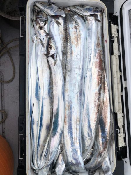 フィッシング　キッタカ 釣果