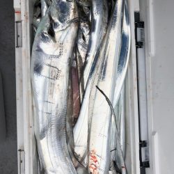 フィッシング　キッタカ 釣果