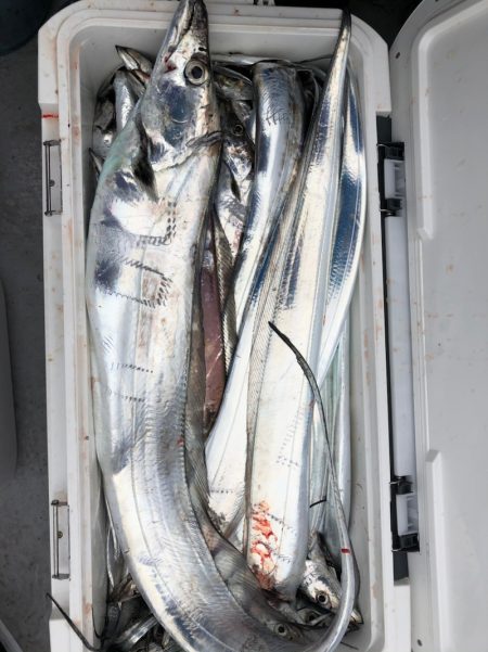 フィッシング　キッタカ 釣果