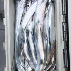 フィッシング　キッタカ 釣果