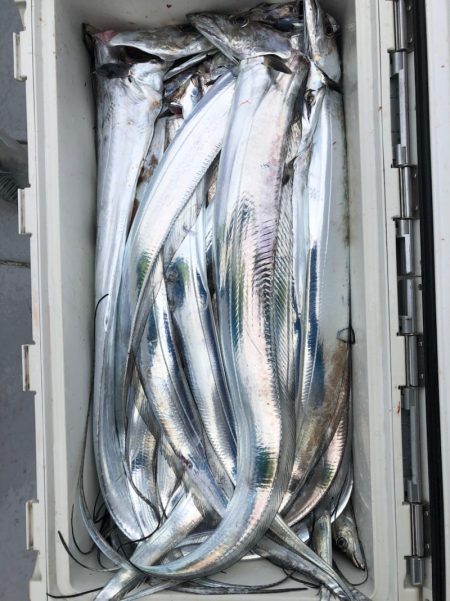 フィッシング　キッタカ 釣果