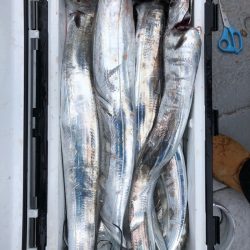 フィッシング　キッタカ 釣果