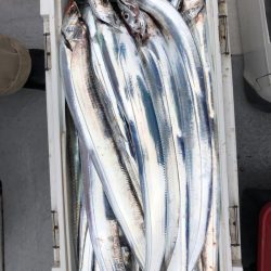 フィッシング　キッタカ 釣果