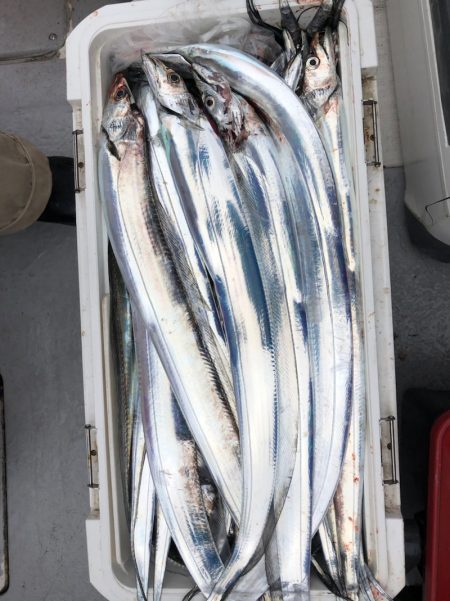 フィッシング　キッタカ 釣果