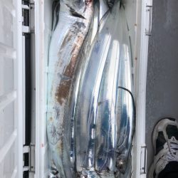 フィッシング　キッタカ 釣果