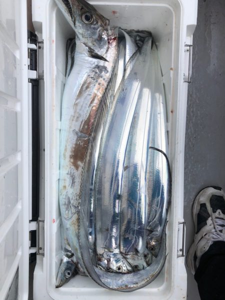 フィッシング　キッタカ 釣果