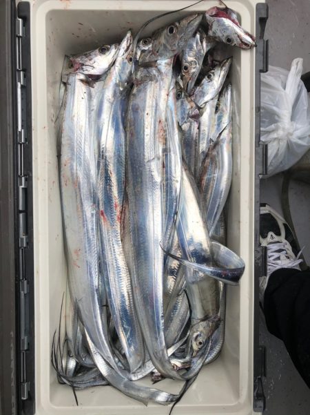 フィッシング　キッタカ 釣果