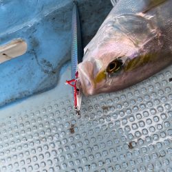 Monster Rush! 釣果