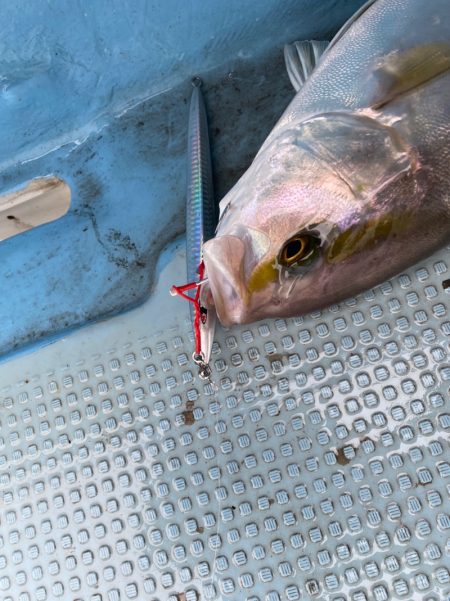 Monster Rush! 釣果