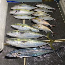 Monster Rush! 釣果