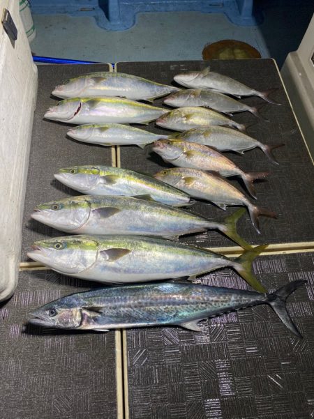 Monster Rush! 釣果