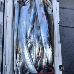 フィッシング　キッタカ 釣果