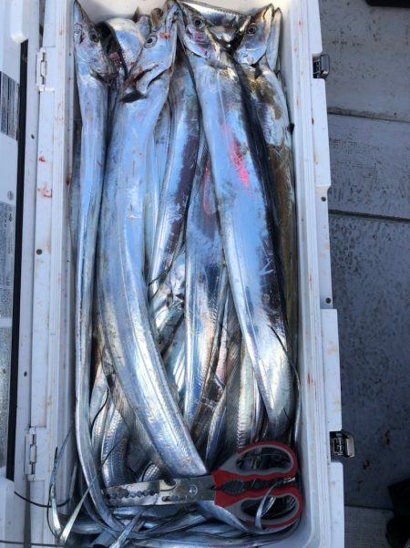 フィッシング　キッタカ 釣果