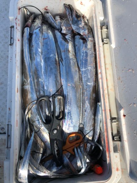 フィッシング　キッタカ 釣果