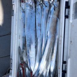 フィッシング　キッタカ 釣果