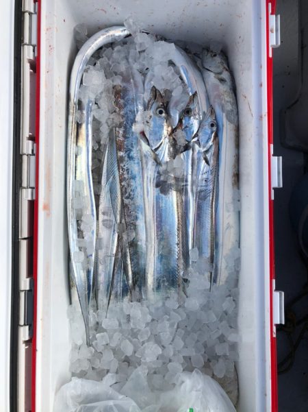 フィッシング　キッタカ 釣果