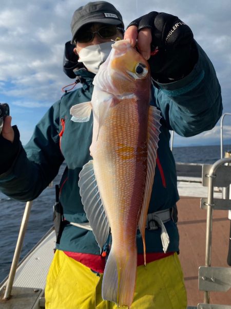 あみや渡船 JIGBOY 釣果