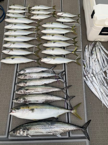 SeaRide(シーライド) 釣果