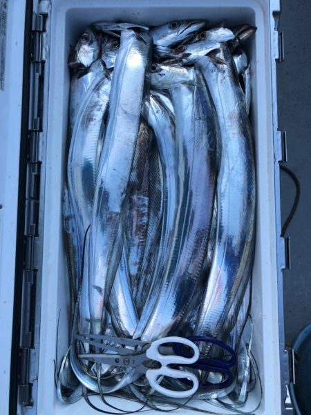 フィッシング　キッタカ 釣果