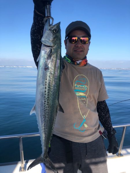 ビッグファイター 釣果