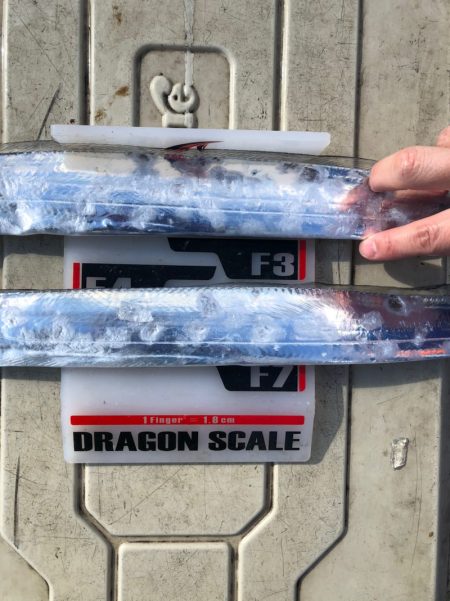 フィッシング　キッタカ 釣果