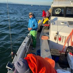 ランスルー 釣果