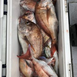 フィッシング キッタカ 釣果