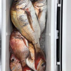 フィッシング キッタカ 釣果