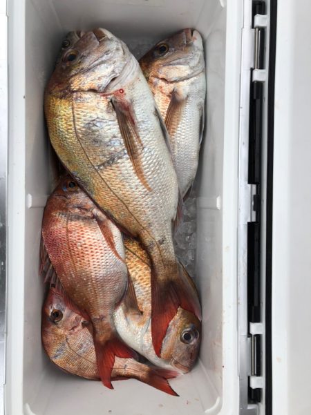 フィッシング キッタカ 釣果