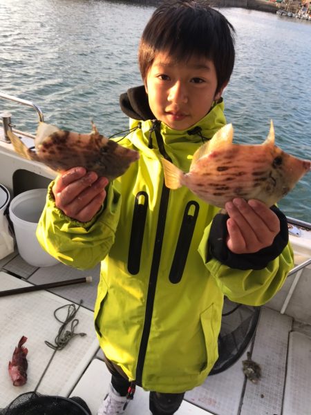 遊漁船メテオ 釣果