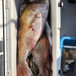 フィッシング キッタカ 釣果