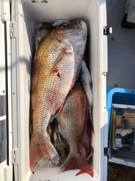 フィッシング キッタカ 釣果