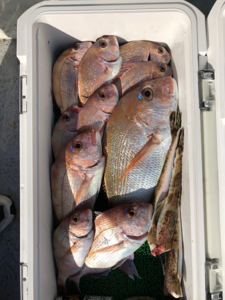 フィッシング キッタカ 釣果