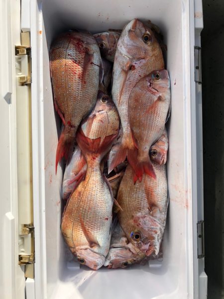 フィッシング キッタカ 釣果